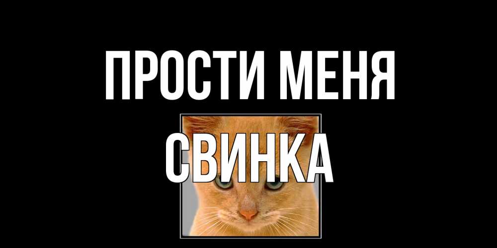Открытка на каждый день с именем, Свинка Прости меня рыжий грустный кот просит прощения Прикольная открытка с пожеланием онлайн скачать бесплатно 