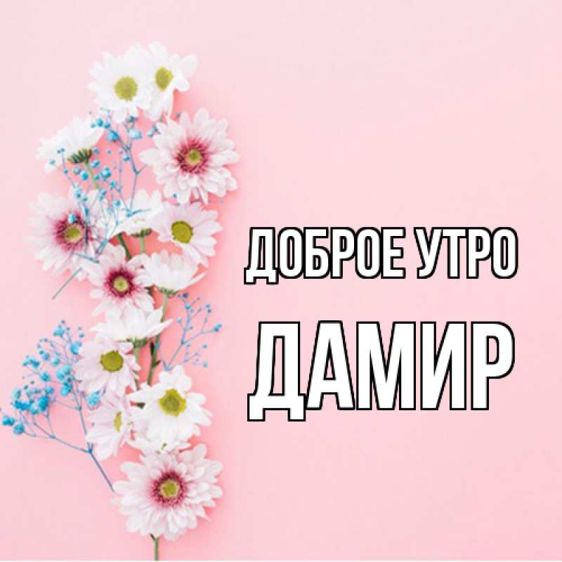 Картинка Доброе утро, Дамир