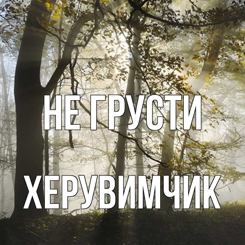 Открытка на каждый день с именем, Хеpувимчик Не грусти лес и свет Прикольная открытка с пожеланием онлайн скачать бесплатно 