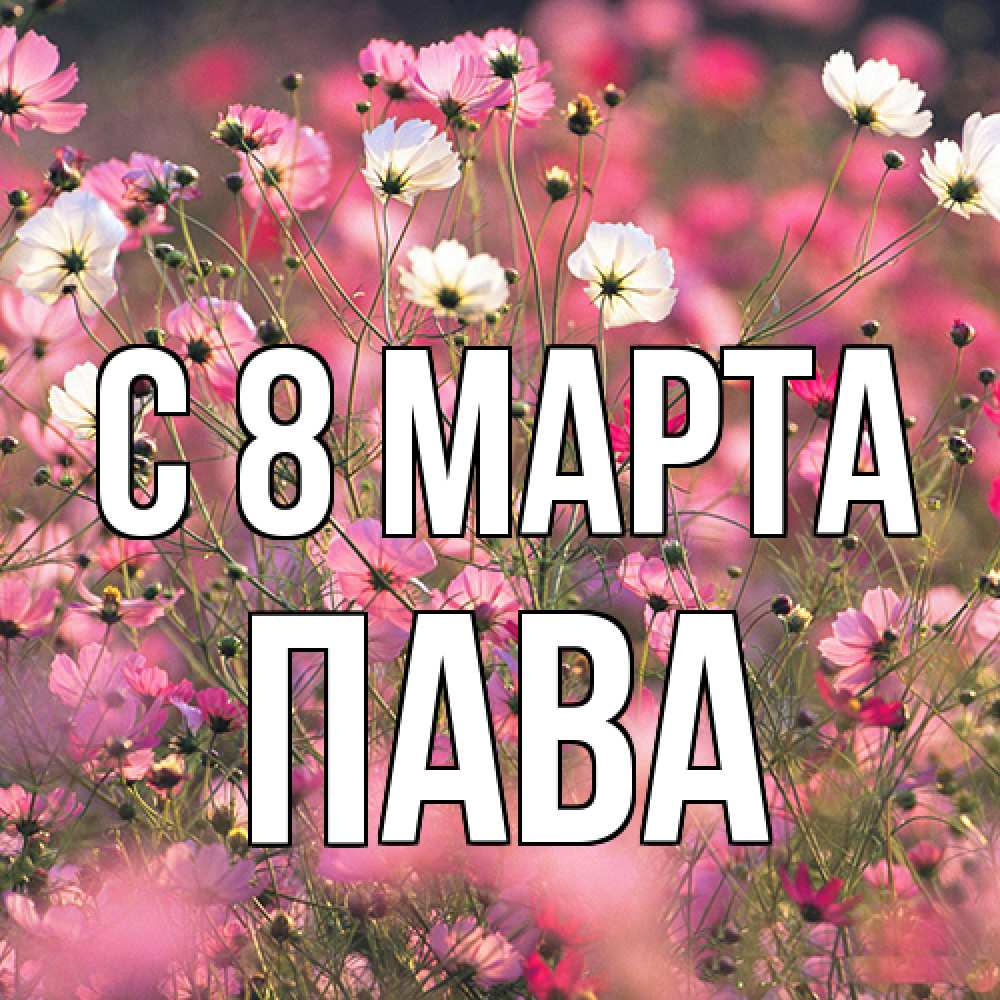 Открытка на каждый день с именем, пава C 8 МАРТА красиво 1 Прикольная открытка с пожеланием онлайн скачать бесплатно 