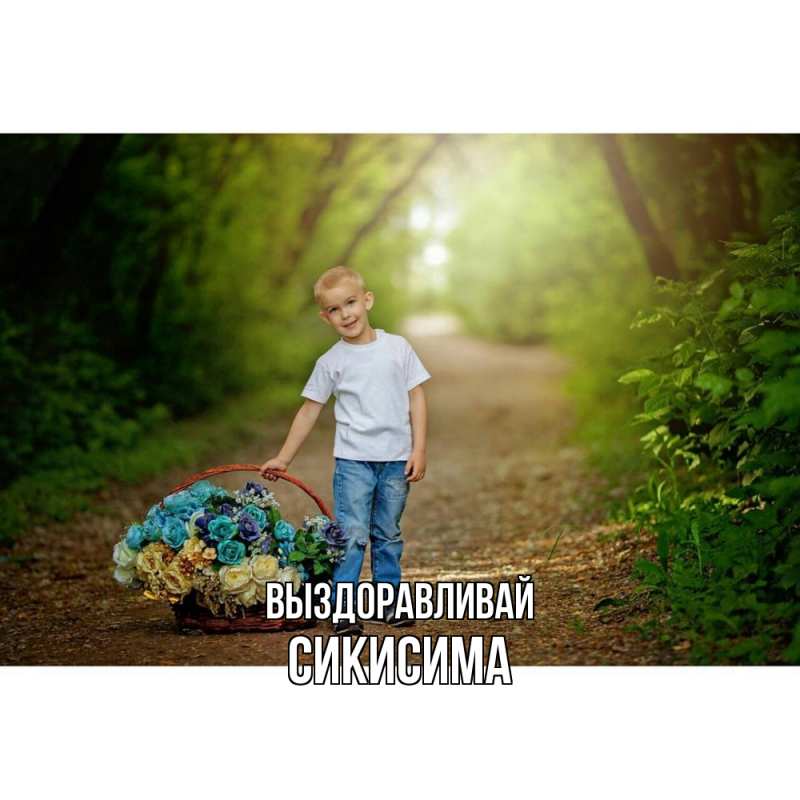 Картинка Выздоравливай, Сикисима