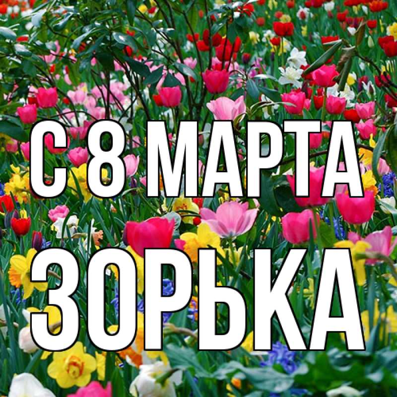 Картинка C 8 МАРТА, Зоpька