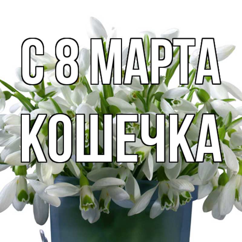 Картинка C 8 МАРТА, кошечка