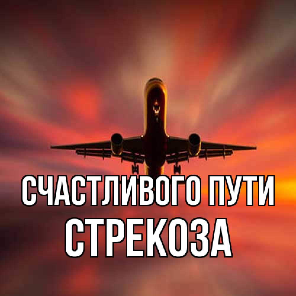 Открытка на каждый день с именем, Стрекоза Счастливого пути самолет набирает высоту Прикольная открытка с пожеланием онлайн скачать бесплатно 