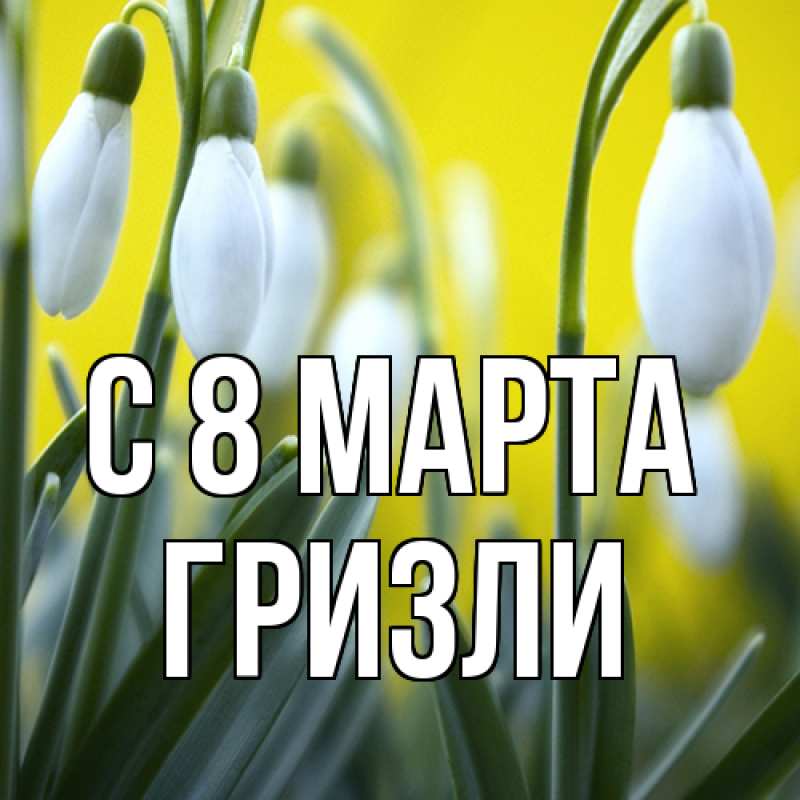 Картинка C 8 МАРТА, Гризли