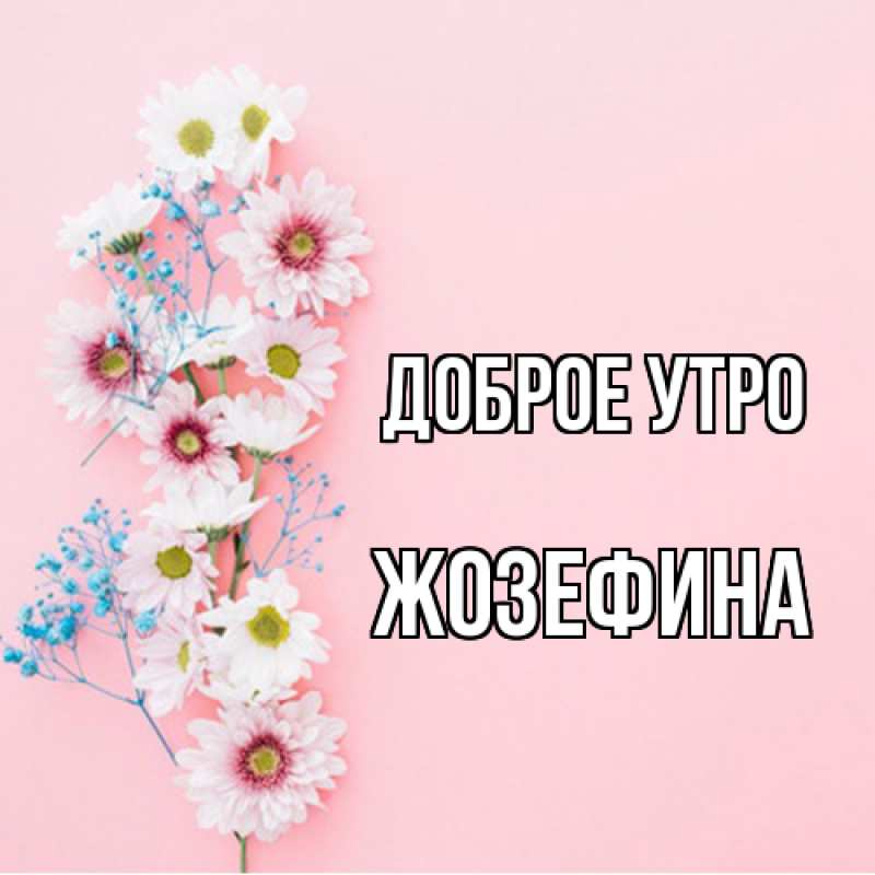 Картинка Доброе утро, Жозефина