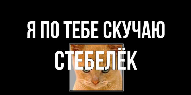 Картинка Я по тебе скучаю, Стебелёк