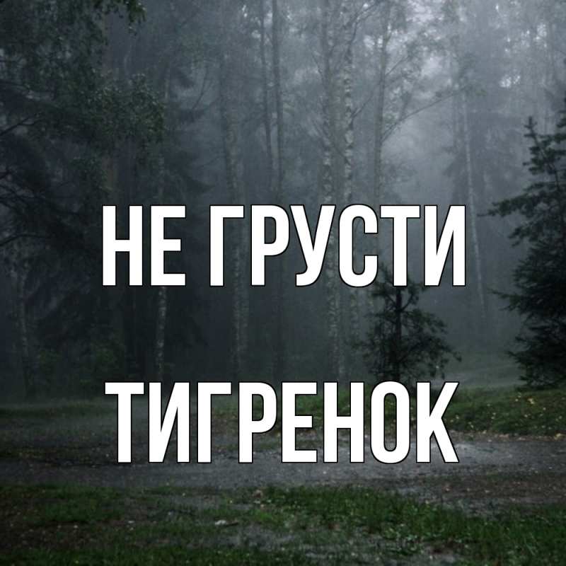 Картинка Не грусти, Тигpенок