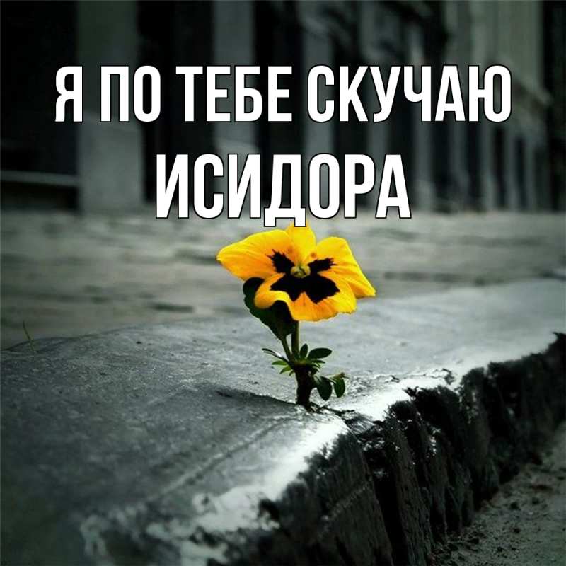 Картинка Я по тебе скучаю, Исидора
