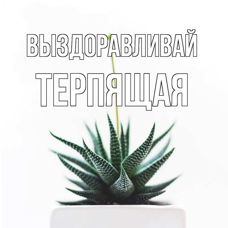 Картинка Выздоравливай, Терпящая