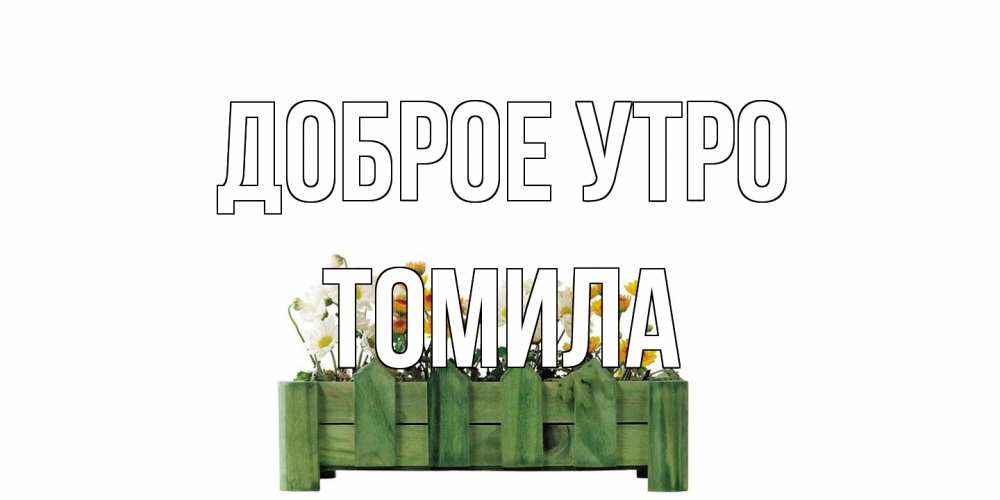 Открытка на каждый день с именем, Томила Доброе утро цветы Прикольная открытка с пожеланием онлайн скачать бесплатно 