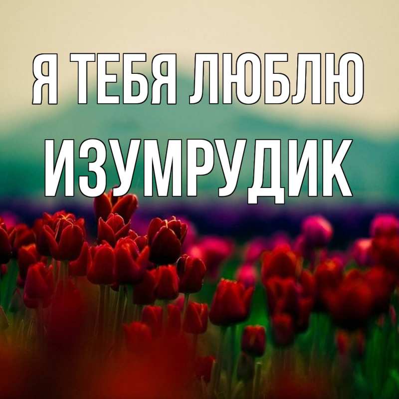 Картинка Я тебя люблю, изумрудик