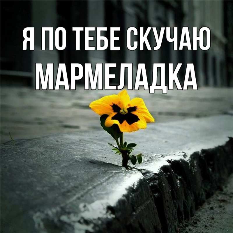 Картинка Я по тебе скучаю, мармеладка