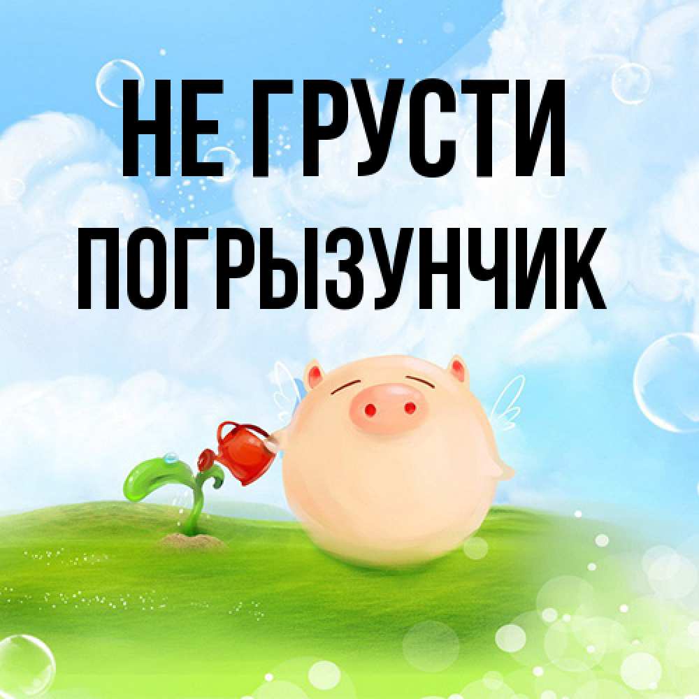Открытка на каждый день с именем, Погрызунчик Не грусти поливает цветок порося Прикольная открытка с пожеланием онлайн скачать бесплатно 