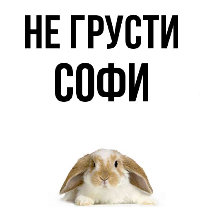 Картинка Не грусти, Софи