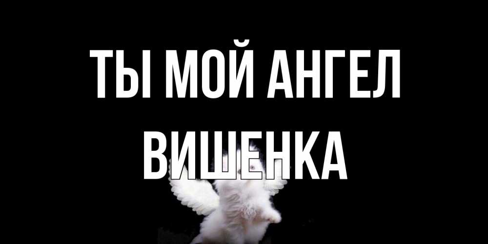 Открытка на каждый день с именем, Вишенка Ты мой ангел Кот ангел Прикольная открытка с пожеланием онлайн скачать бесплатно 