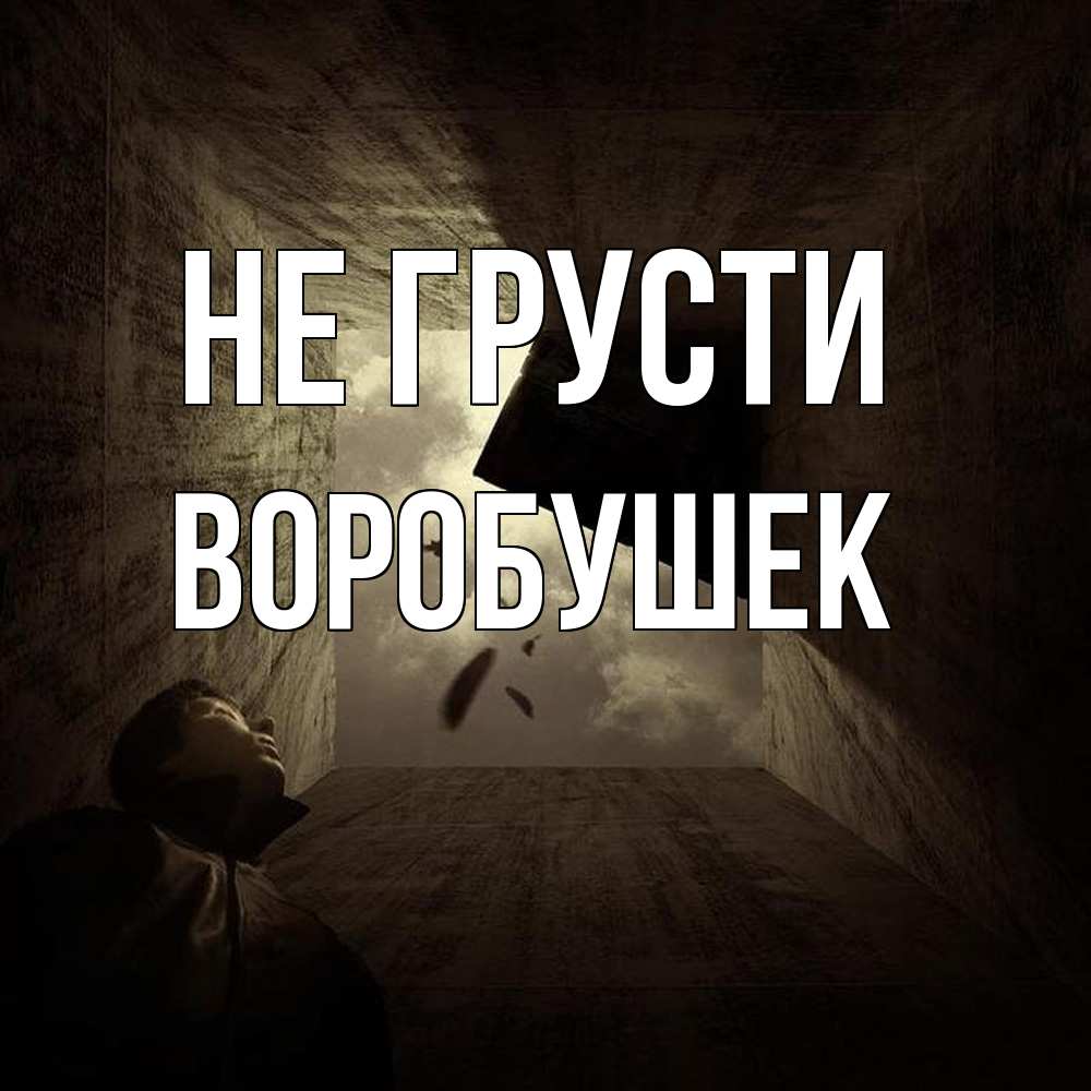 Открытка на каждый день с именем, Воробушек Не грусти жуть Прикольная открытка с пожеланием онлайн скачать бесплатно 