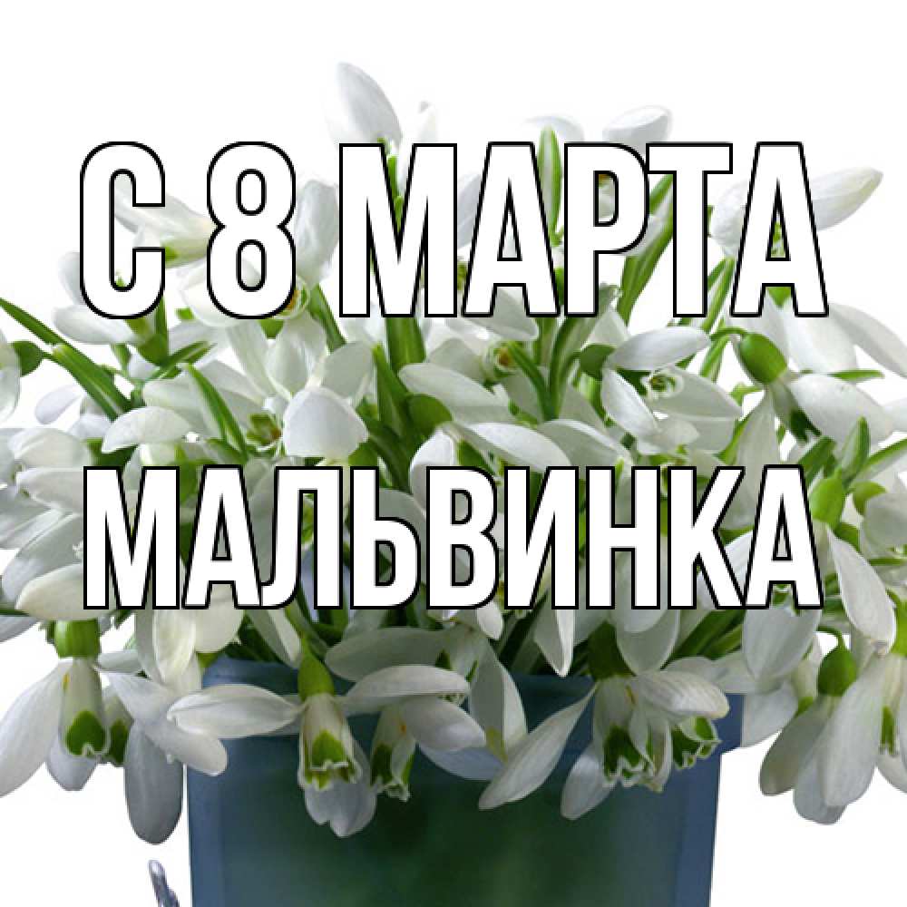 Открытка на каждый день с именем, мальвинка C 8 МАРТА цветы к международному женскому дню Прикольная открытка с пожеланием онлайн скачать бесплатно 