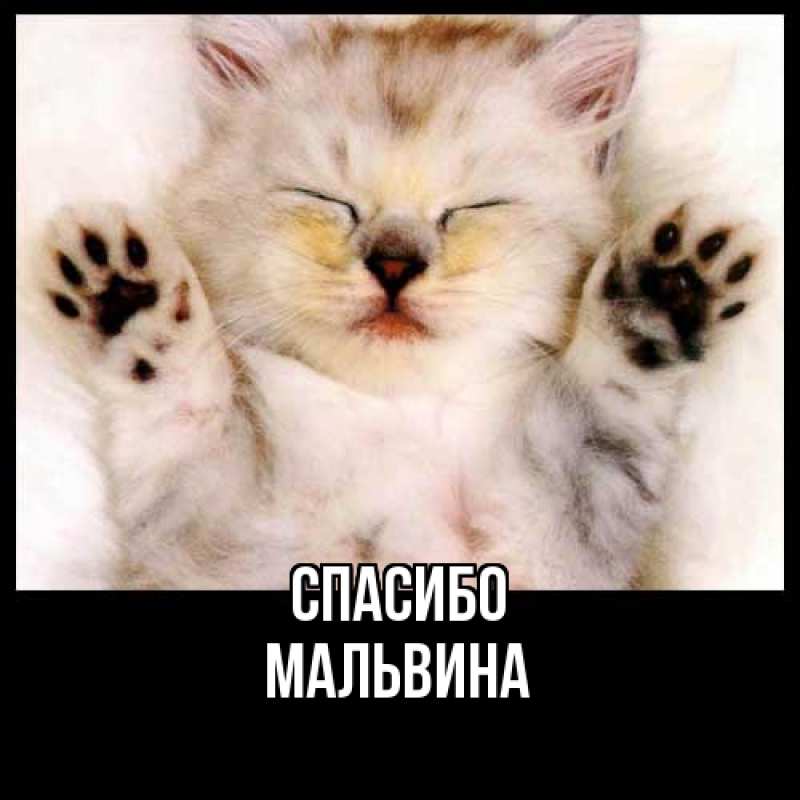 Картинка Спасибо, Мальвина