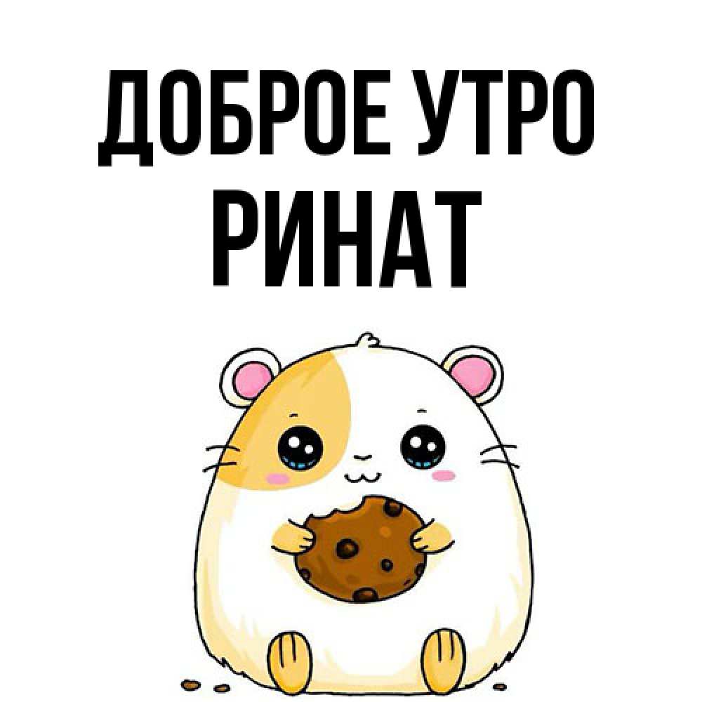 Открытка на каждый день с именем, Ринат Доброе утро есть печеньку. Утречко Прикольная открытка с пожеланием онлайн скачать бесплатно 