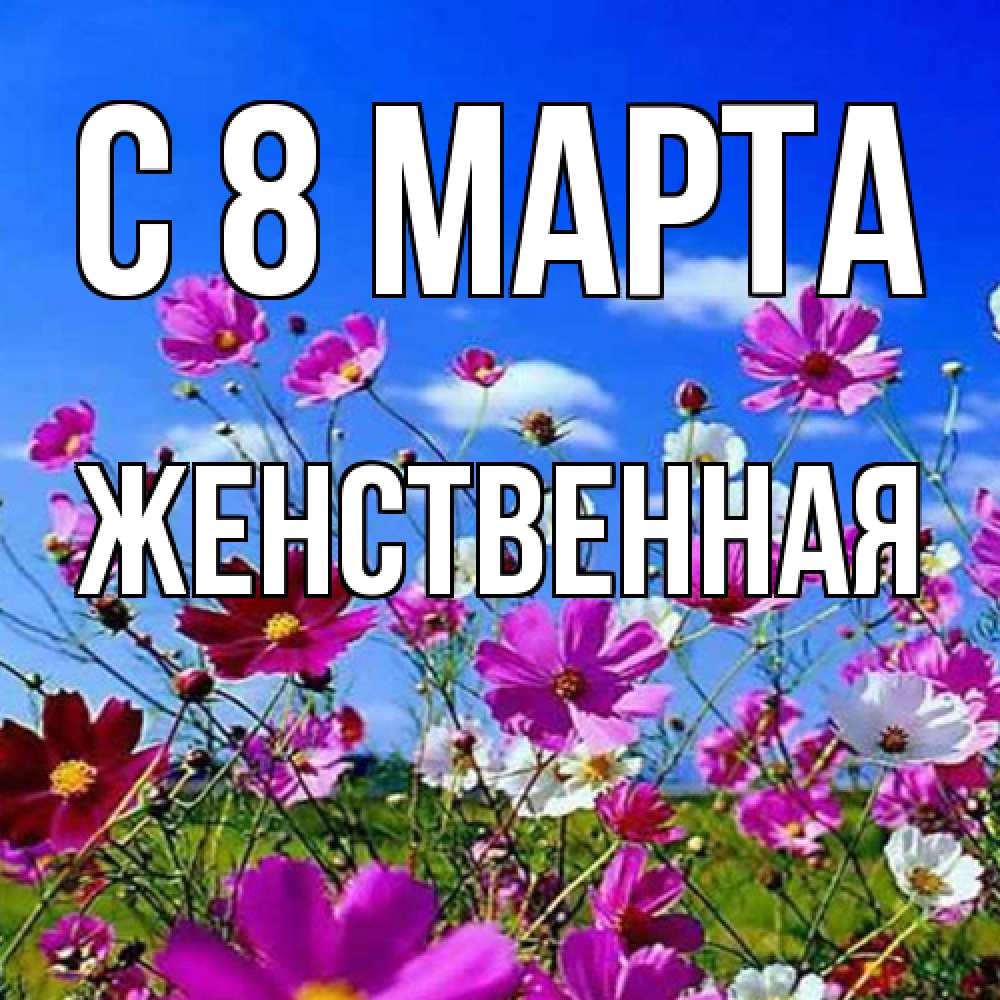 Открытка на каждый день с именем, женственная C 8 МАРТА цветы Прикольная открытка с пожеланием онлайн скачать бесплатно 