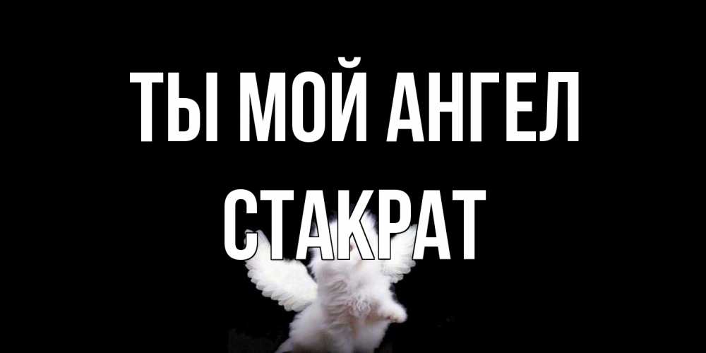 Открытка на каждый день с именем, Стакрат Ты мой ангел Кот ангел Прикольная открытка с пожеланием онлайн скачать бесплатно 