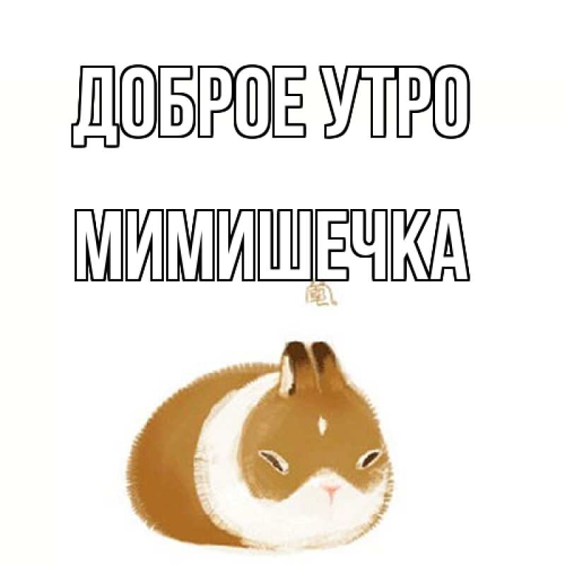 Картинка Доброе утро, мимишечка