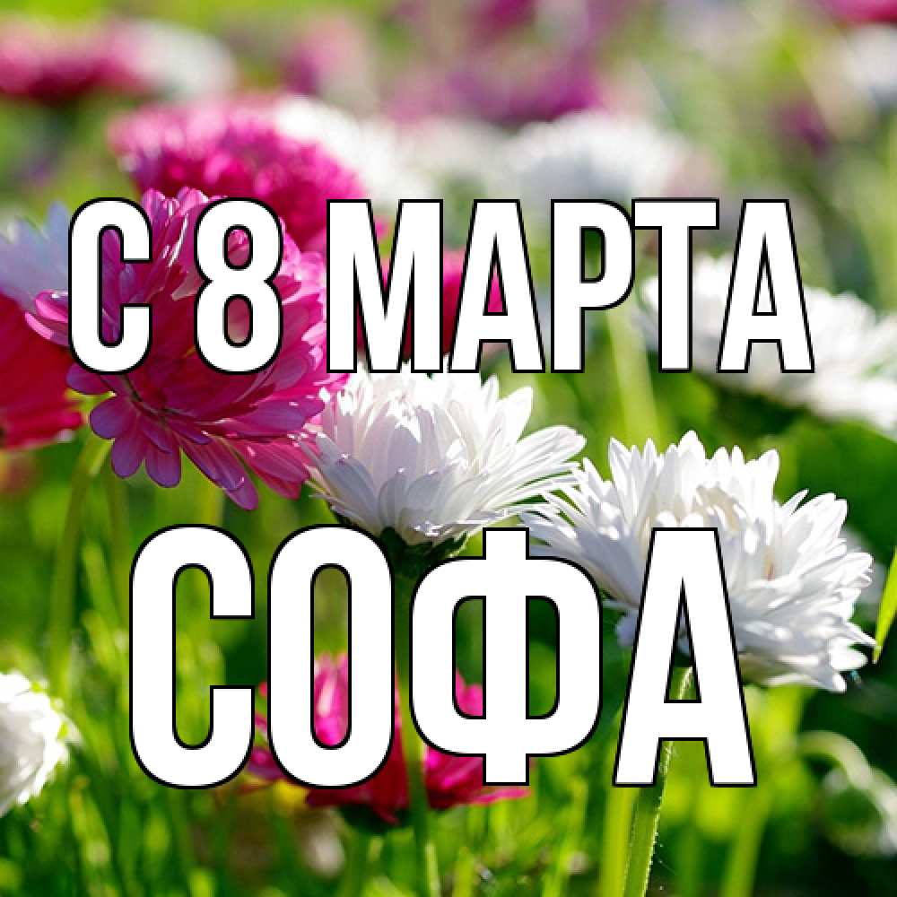 Открытка на каждый день с именем, Софа C 8 МАРТА международный женский день 1 Прикольная открытка с пожеланием онлайн скачать бесплатно 