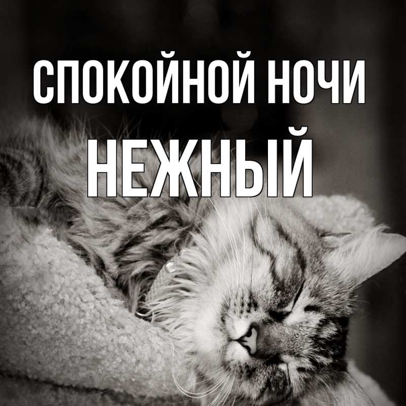 Картинка Спокойной ночи, Нежный