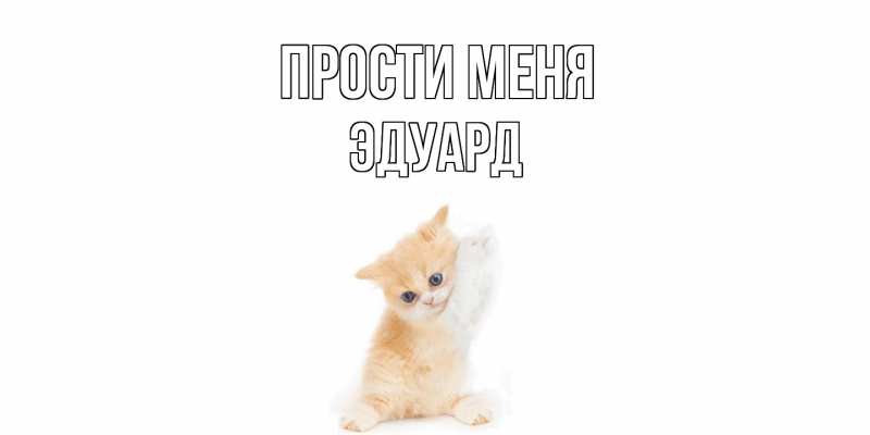 Картинка Прости меня, Эдуард
