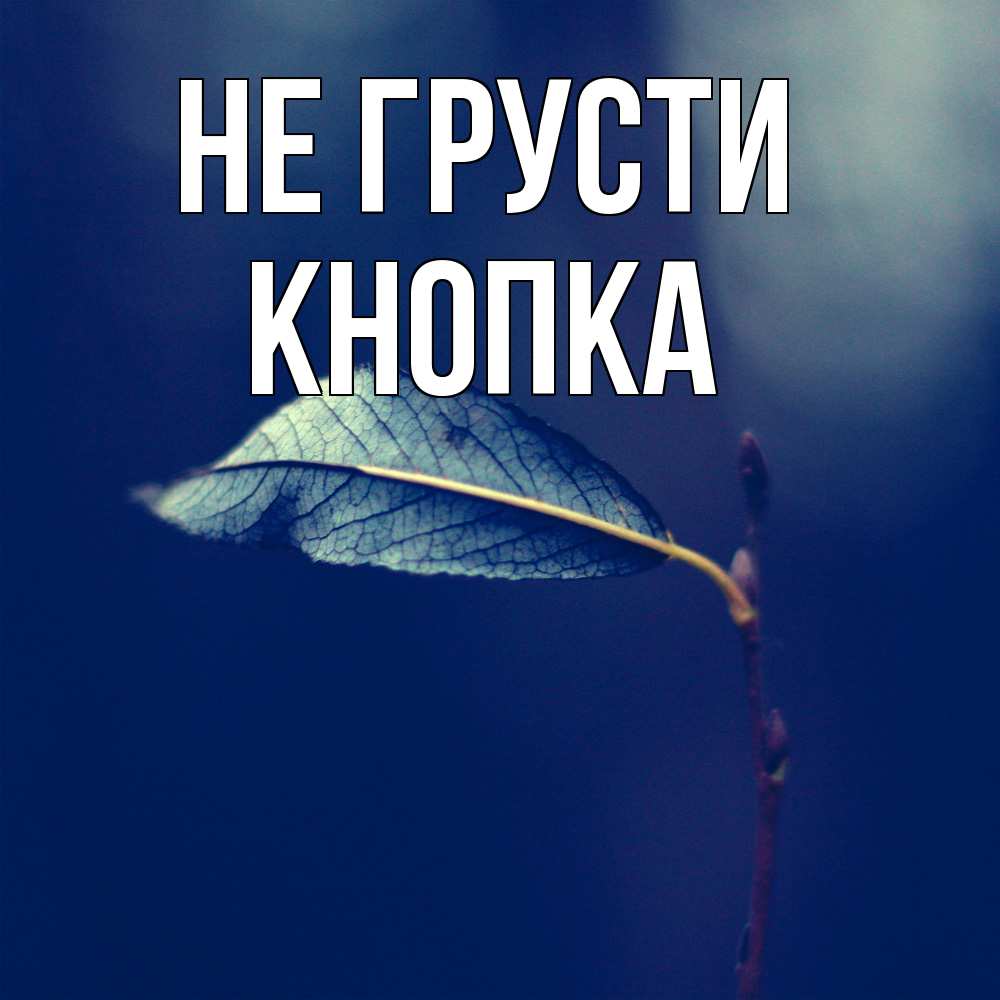 Открытка на каждый день с именем, Кнопка Не грусти растение Прикольная открытка с пожеланием онлайн скачать бесплатно 