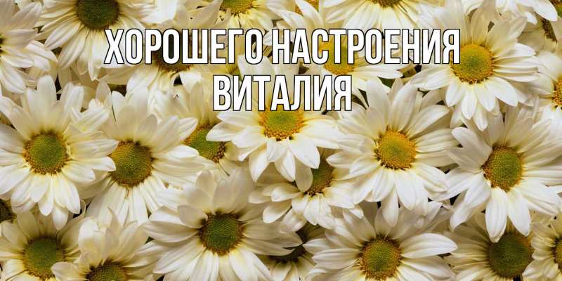 Картинка Хорошего настроения, Виталия