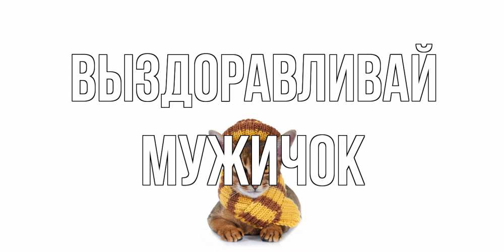 Открытка на каждый день с именем, Мужичок Выздоравливай родные не болейте Прикольная открытка с пожеланием онлайн скачать бесплатно 