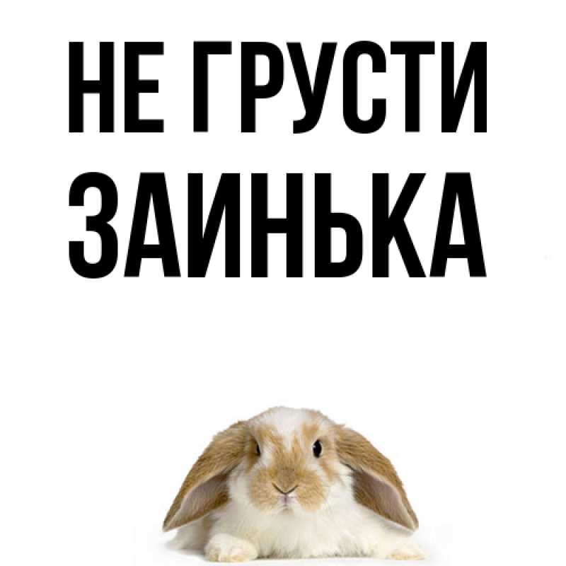 Картинка Не грусти, Заинька