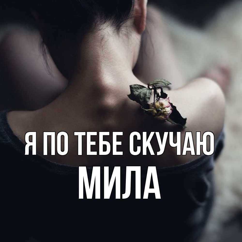 Открытка на каждый день с именем, Мила Я по тебе скучаю засох цветок Прикольная открытка с пожеланием онлайн скачать бесплатно 