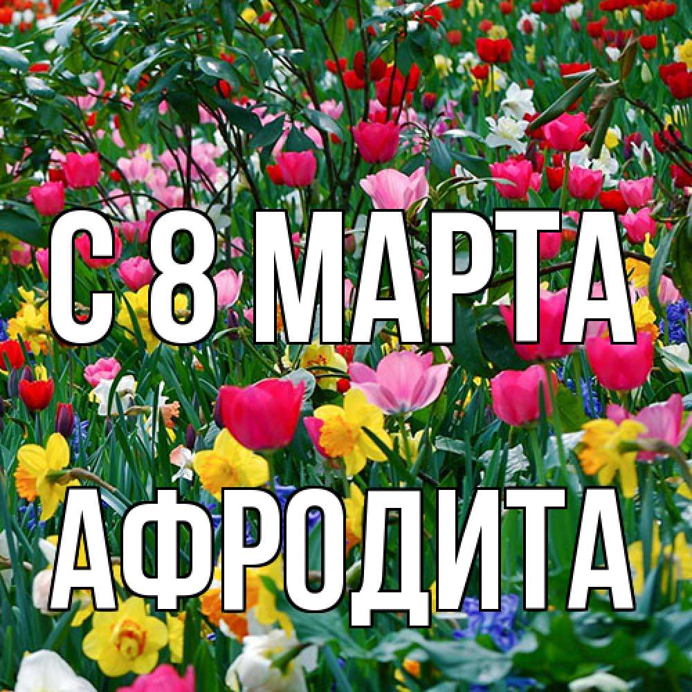 Открытка на каждый день с именем, Афродита C 8 МАРТА с международным женским днем поздравления для женщины Прикольная открытка с пожеланием онлайн скачать бесплатно 