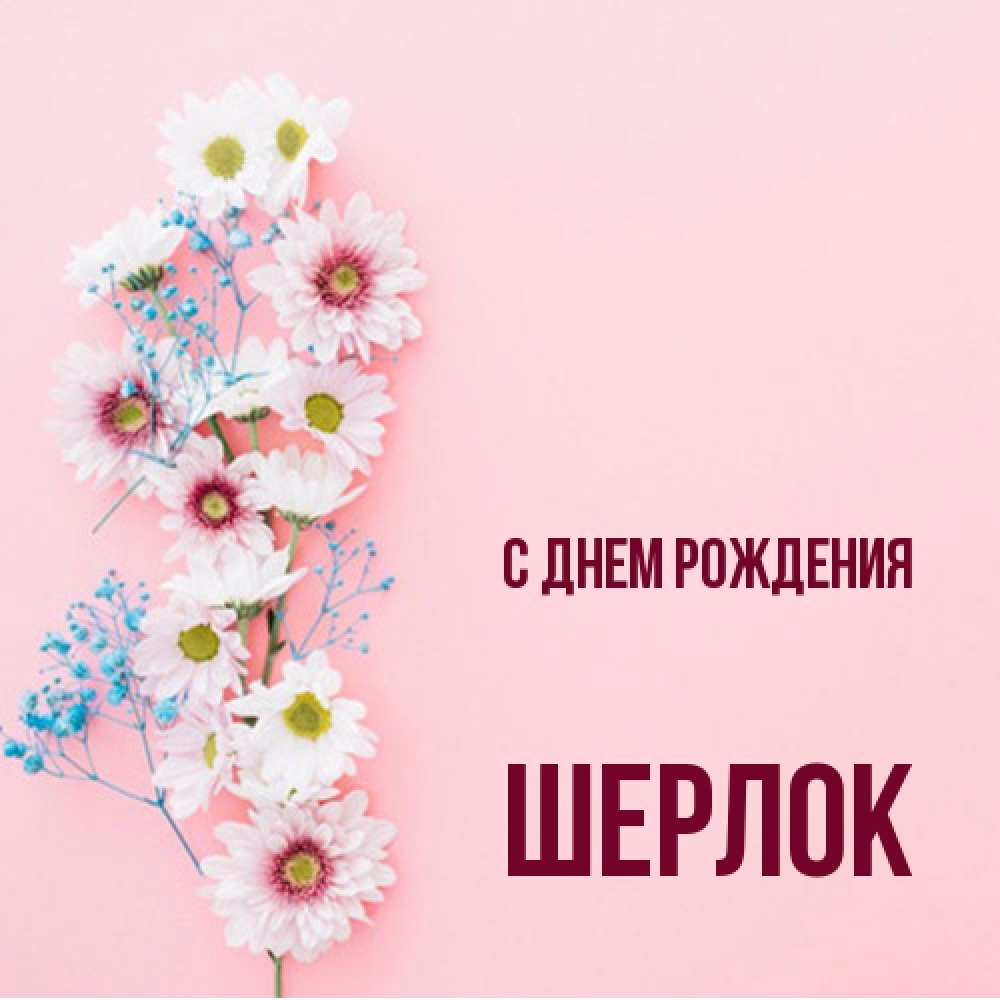 Открытка на каждый день с именем, Шерлок С днем рождения Родная моя с днем рождения тебя картинка с цветами белыми и голубыми Прикольная открытка с пожеланием онлайн скачать бесплатно 