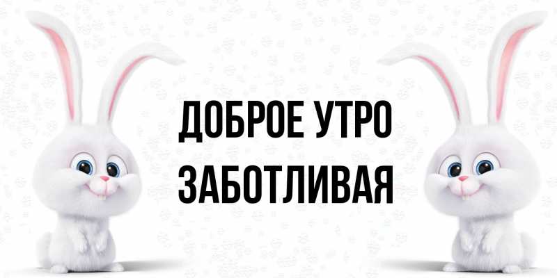 Картинка Доброе утро, Заботливая