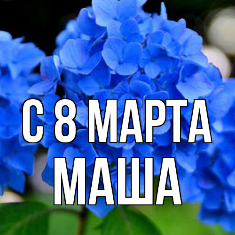 Картинка C 8 МАРТА, Маша