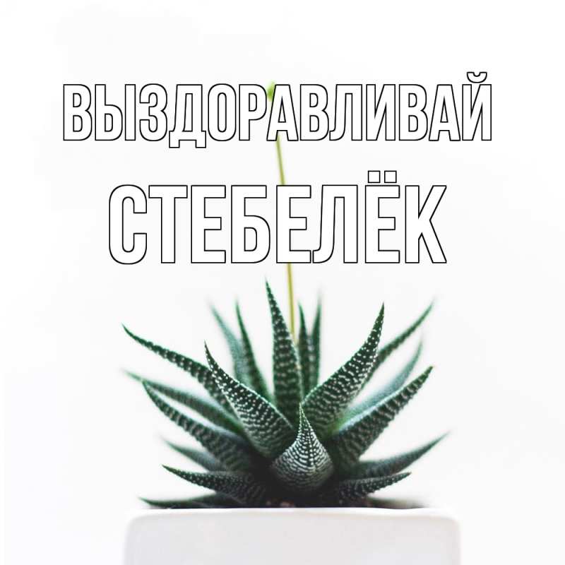 Картинка Выздоравливай, Стебелёк