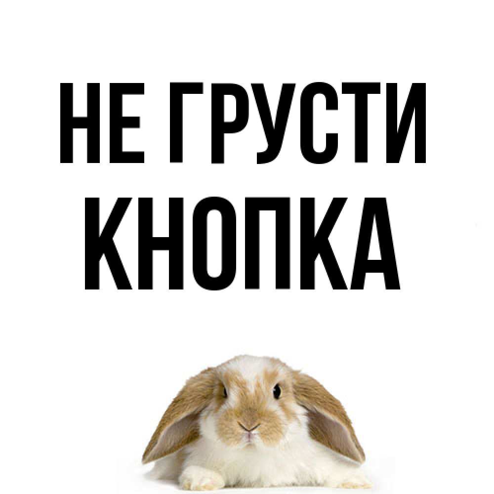 Открытка на каждый день с именем, Кнопка Не грусти коричнево белый заяц с большими ушками Прикольная открытка с пожеланием онлайн скачать бесплатно 