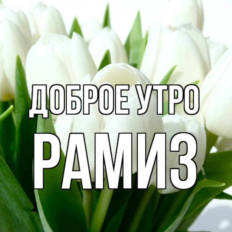 Картинка Доброе утро, Рамиз