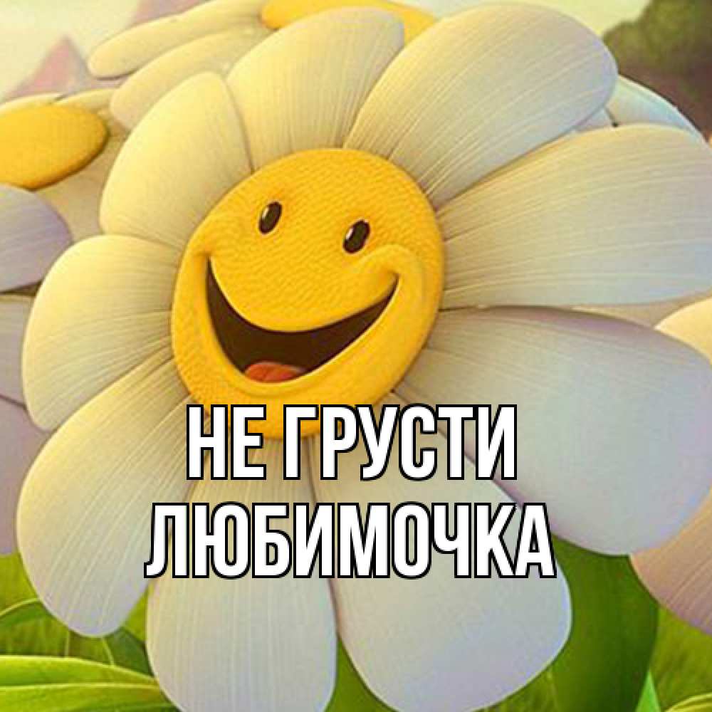 Открытка на каждый день с именем, Любимочка Не грусти огромная улыбающаяся ромашуща Прикольная открытка с пожеланием онлайн скачать бесплатно 