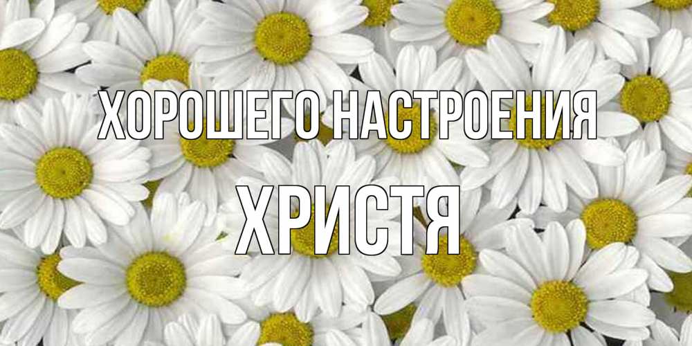 Открытка на каждый день с именем, Христя Хорошего настроения поляна ромашек Прикольная открытка с пожеланием онлайн скачать бесплатно 