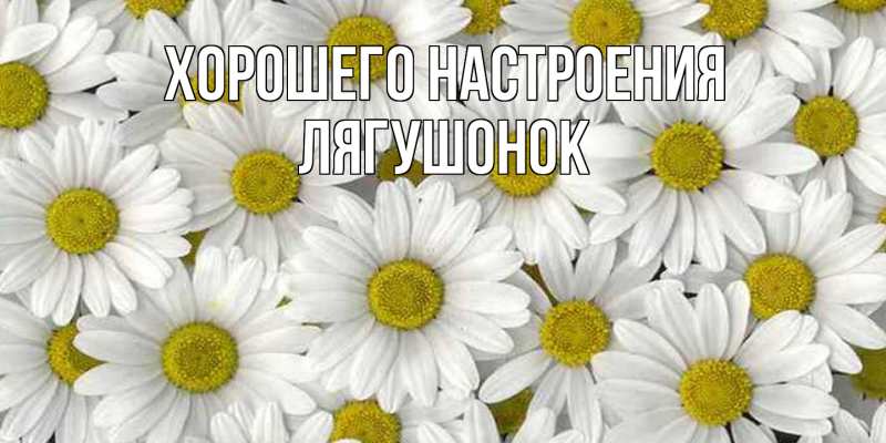 Картинка Хорошего настроения, лягушонок