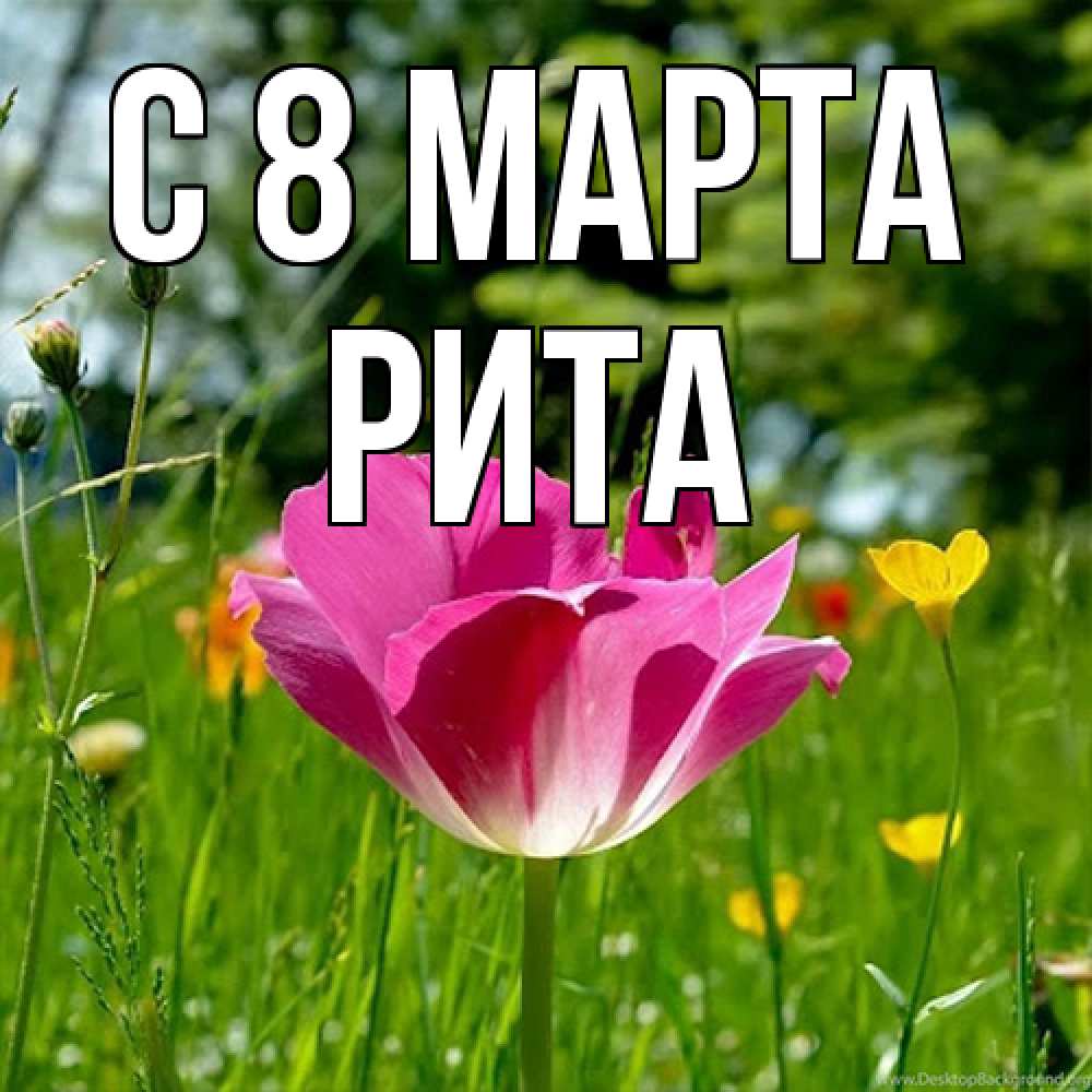 Открытка на каждый день с именем, Рита C 8 МАРТА полевые цветы Прикольная открытка с пожеланием онлайн скачать бесплатно 