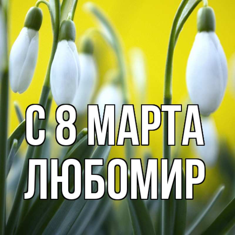 Картинка C 8 МАРТА, Любомир