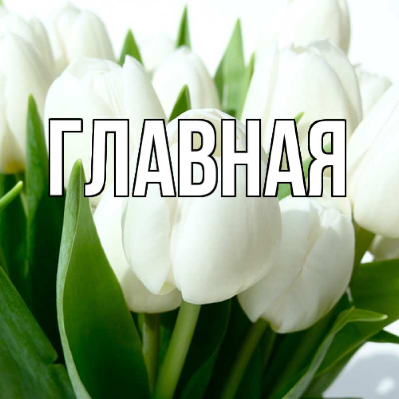 Картинка  с именем , настя