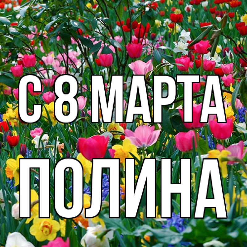 Картинка C 8 МАРТА, полина