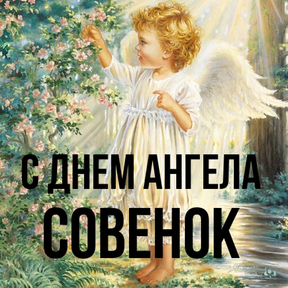 Открытка на каждый день с именем, совенок С днем ангела собирает цветы Прикольная открытка с пожеланием онлайн скачать бесплатно 